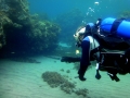 La mayor biodiversidad de los mares europeos