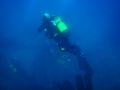 Submarinismo en Estepona, Casares y Manilva