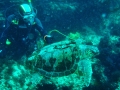 Submarinismo en Estepona, Casares y Manilva