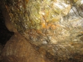 Costra fresca de serpentina