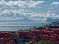 Estepona