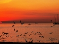 Amanecer en la playa de La Rada (Estepona)