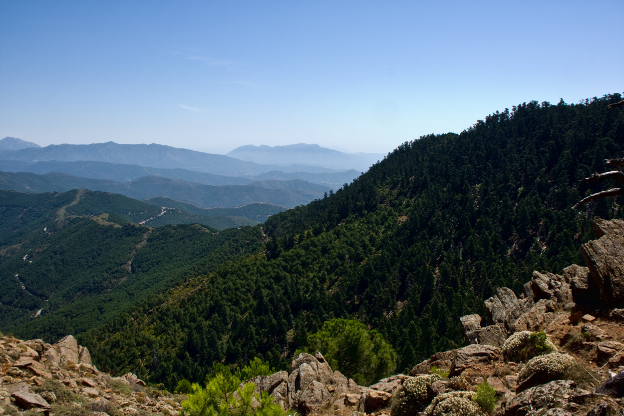Vistas hacia el este desde el Cerro del Castellón