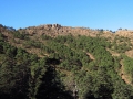 Sendero de los Realillos, hacia el Cerro del Castellón