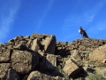 Fortaleza del Cerro del Castellón