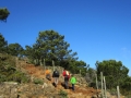 Sendero SL-A 168