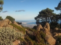 Vegetación de las cumbres de Sierra Bermeja