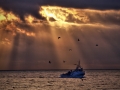 Pescadores (Estepona)