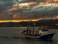 Pescadores (Estepona)