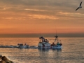 De regreso al puerto (Estepona)