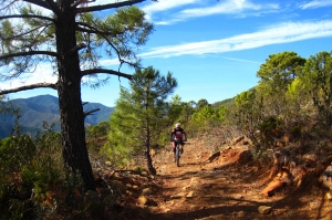Ciclismo de montaña en Sierra Bermeja (Fotografía: Javier Martos Martín)