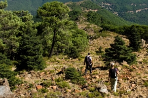 Senderismo en el entorno de los Reales de Sierra Bermeja (Fotografía: Javier Martos Martín)
